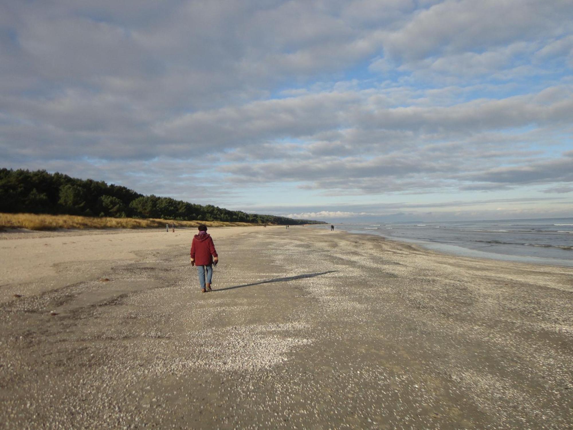 Ostseemuschel Karlshagen エクステリア 写真