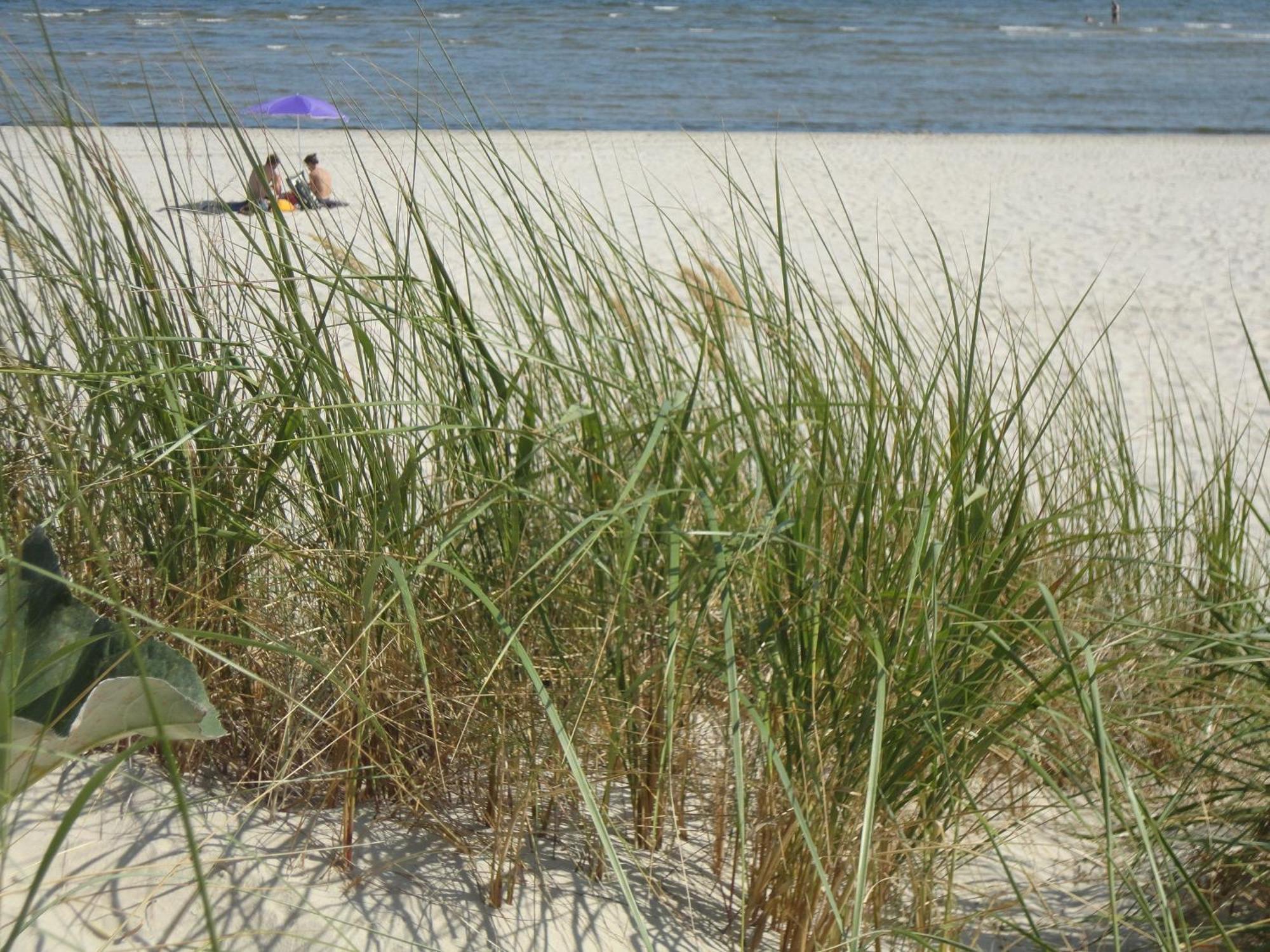 Ostseemuschel Karlshagen エクステリア 写真