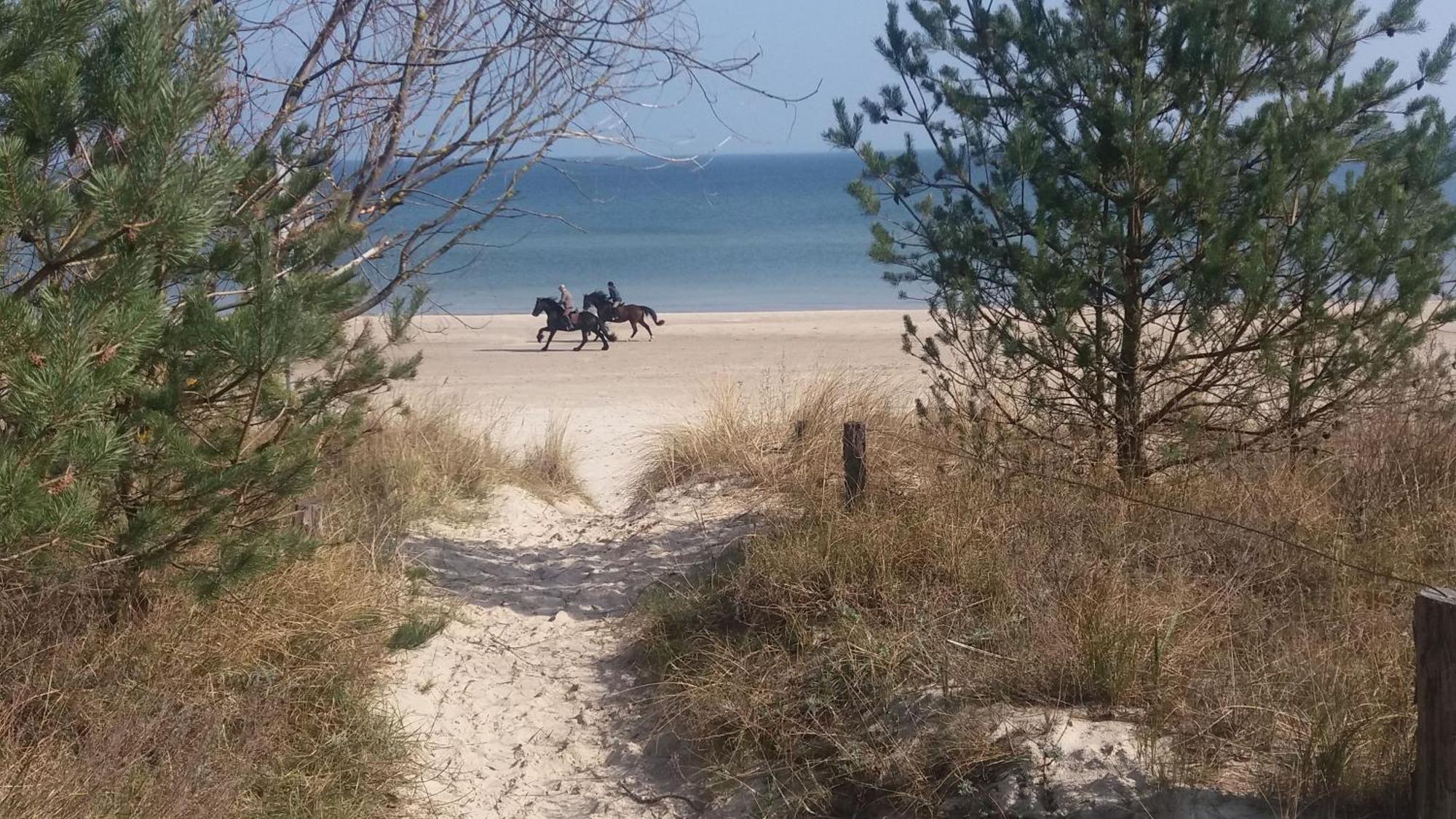 Ostseemuschel Karlshagen エクステリア 写真